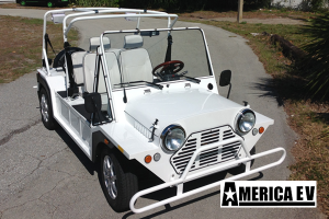 golf cart rental jupiter, street legal cart, golf cart reservation jupiter